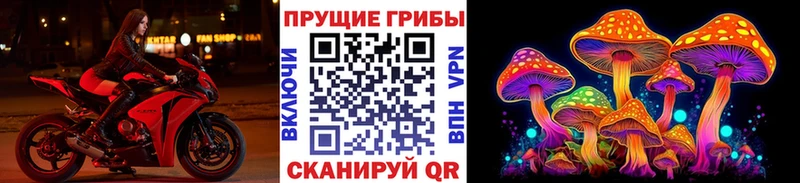 блэк спрут tor  Нягань  Псилоцибиновые грибы GOLDEN TEACHER 